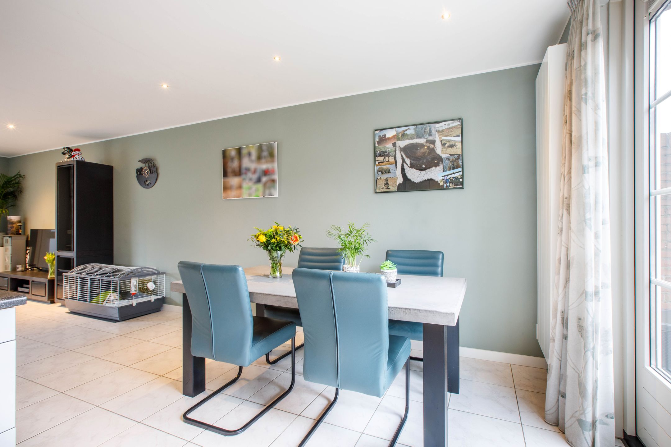 Foto 12 van Penningkruid 40