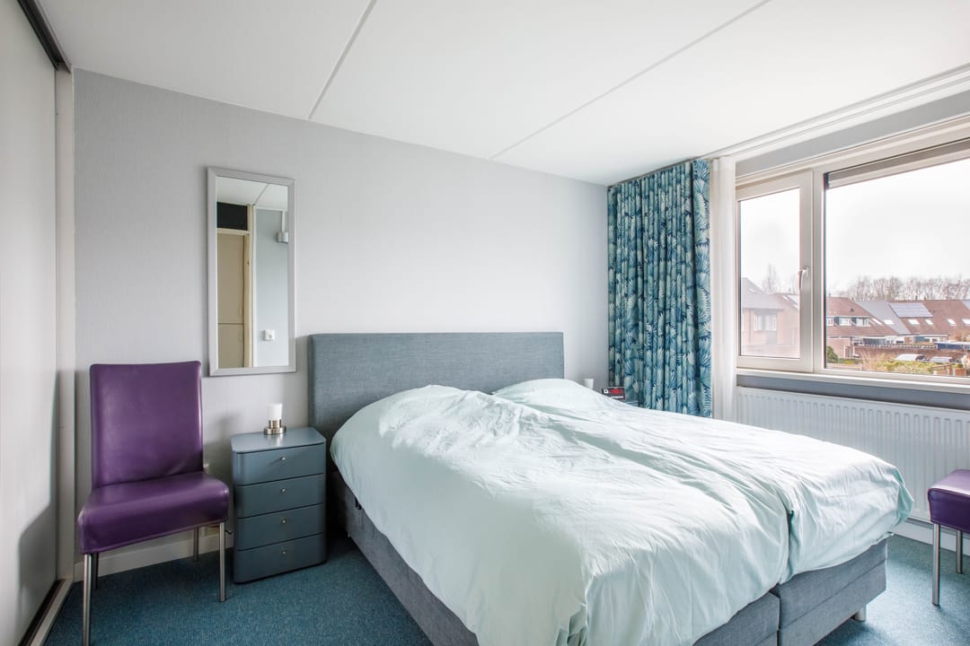 Foto 16 van Penningkruid 40