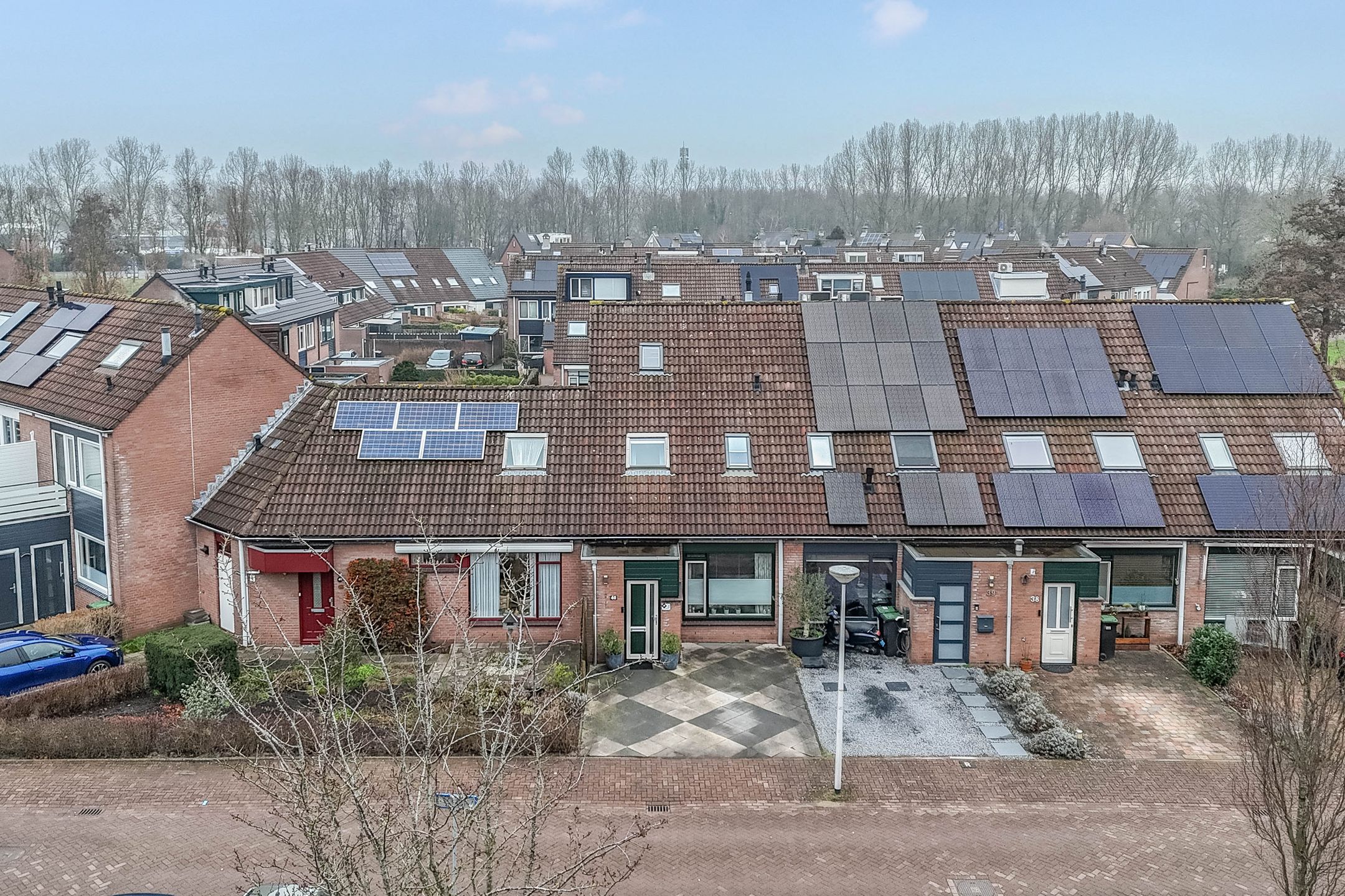 Foto 39 van Penningkruid 40