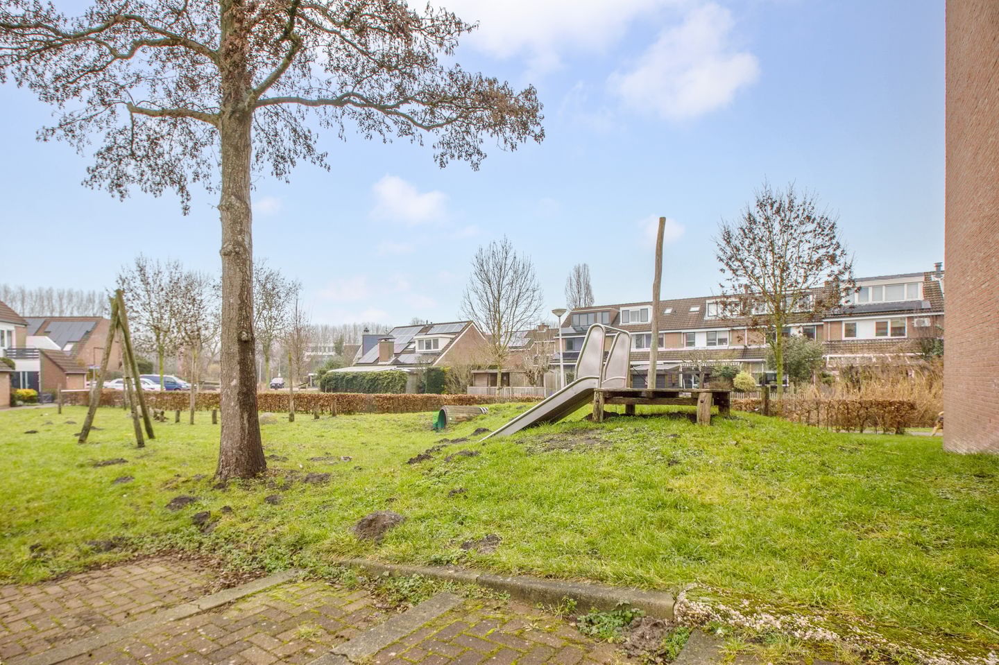 Foto 29 van Penningkruid 40