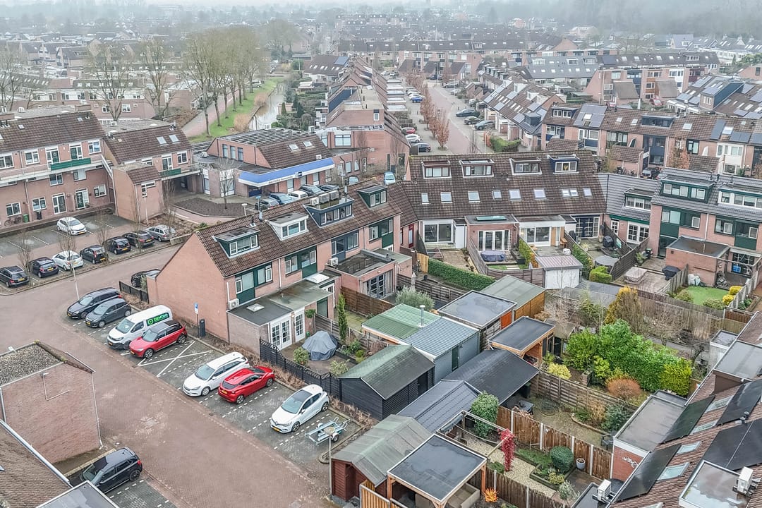 Foto 37 van Penningkruid 40