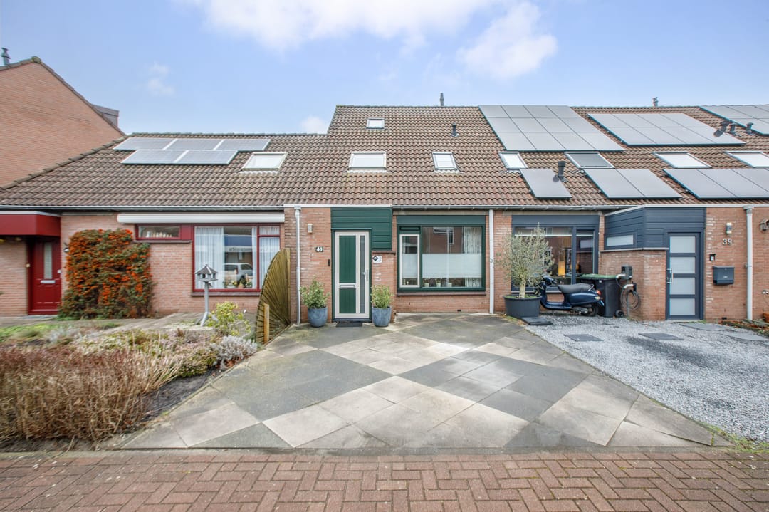 Foto 1 van Penningkruid 40