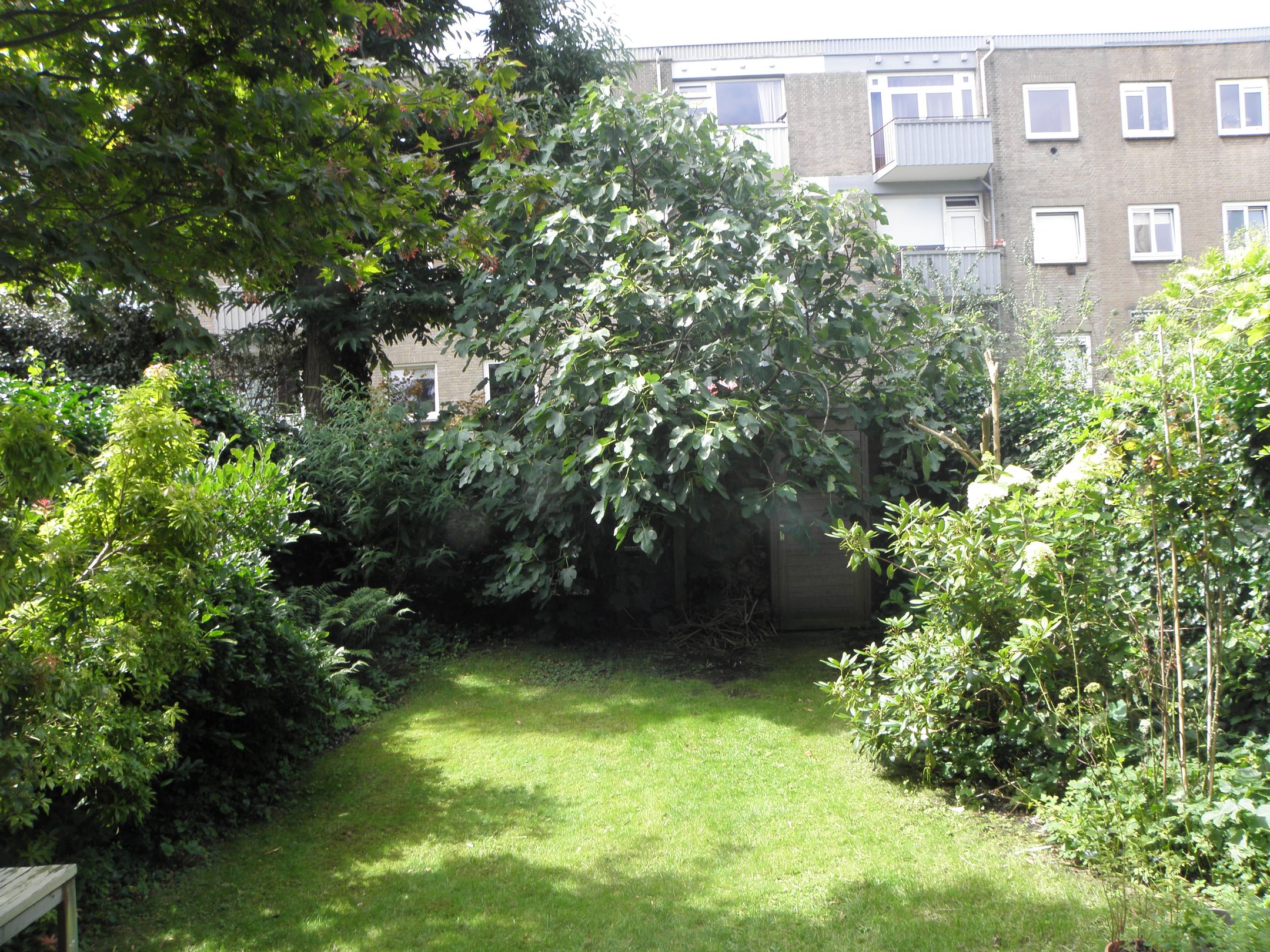 Foto 24 van De Moucheronstraat 35