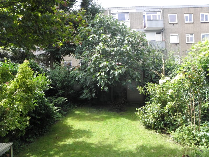 Foto 24 van De Moucheronstraat 35