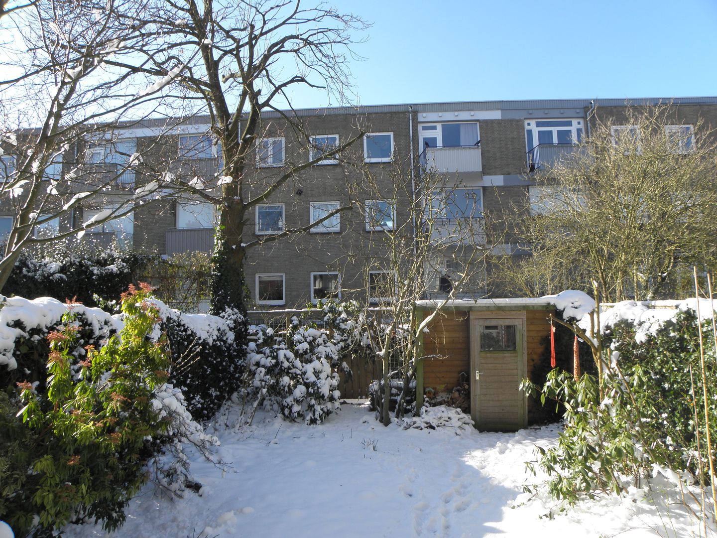 Foto 25 van De Moucheronstraat 35