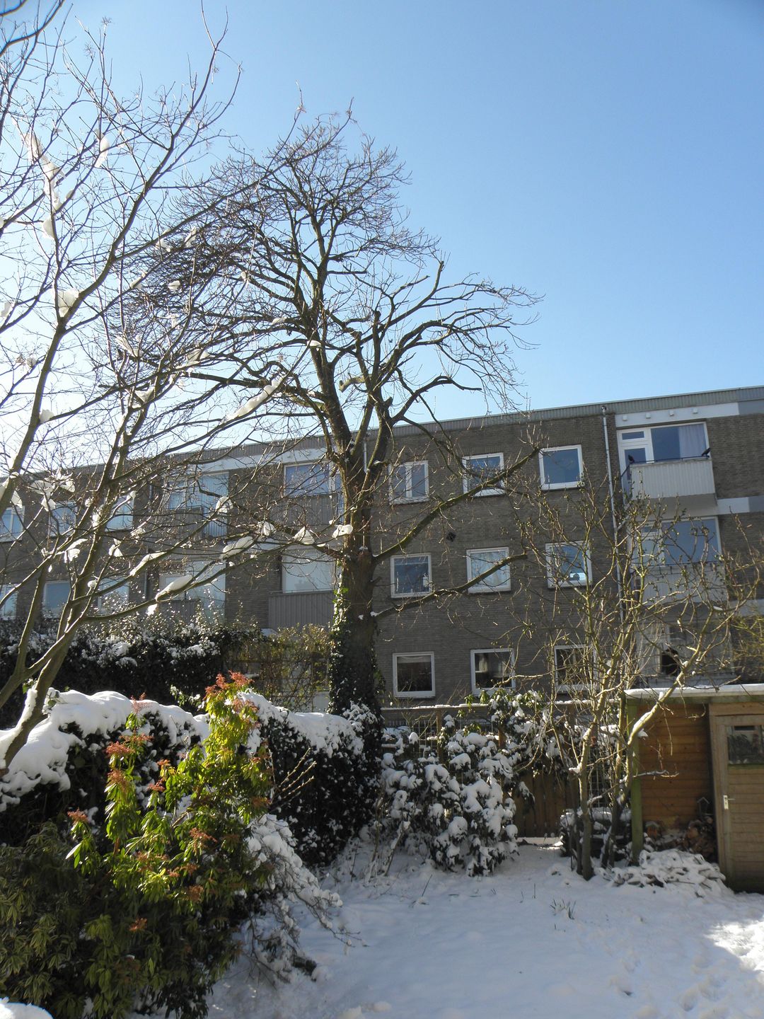 Foto 26 van De Moucheronstraat 35