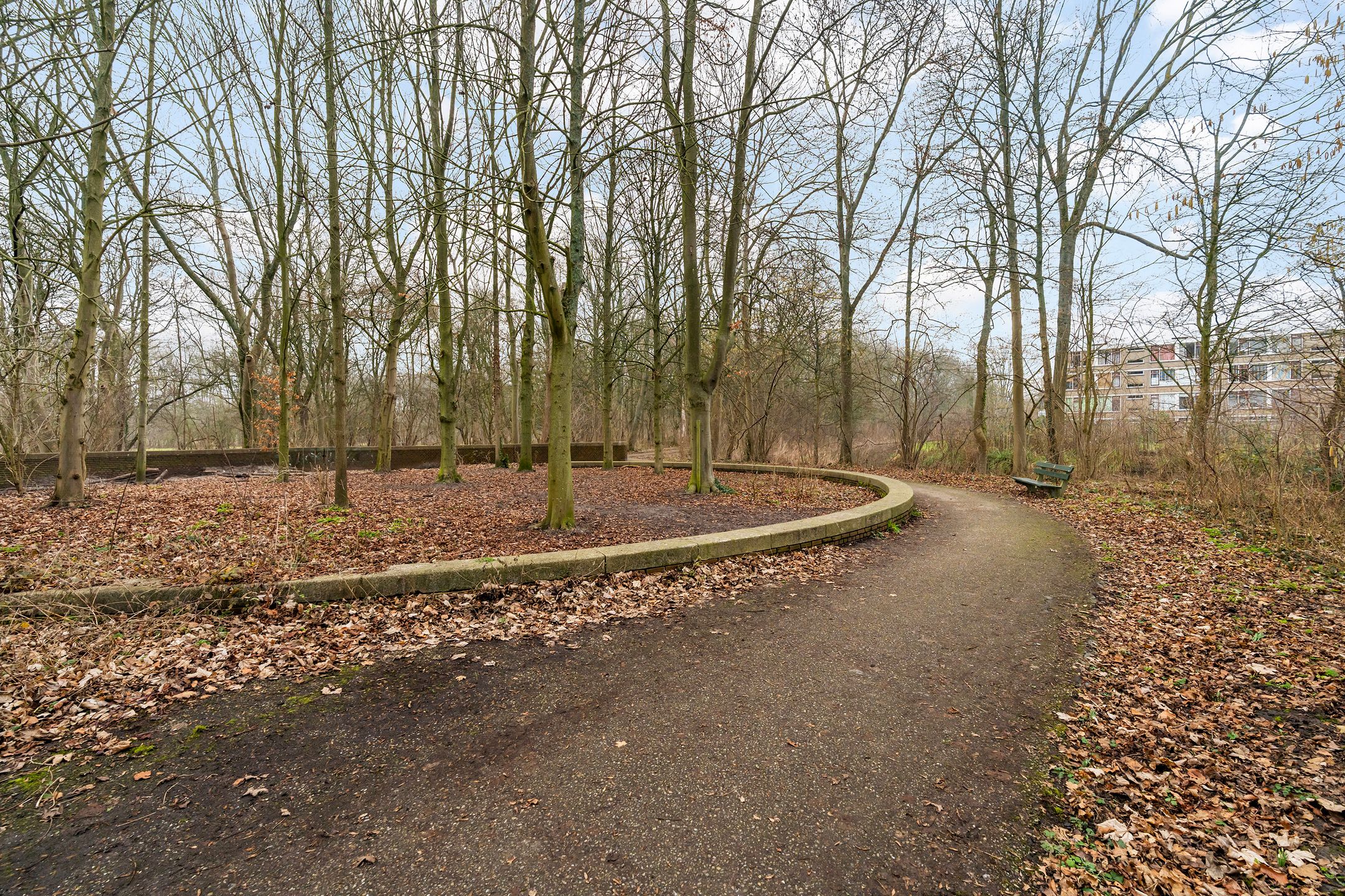 Foto 30 van Hieronymus Boschpad 4