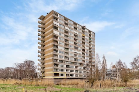 Coornhertstraat thumbnail