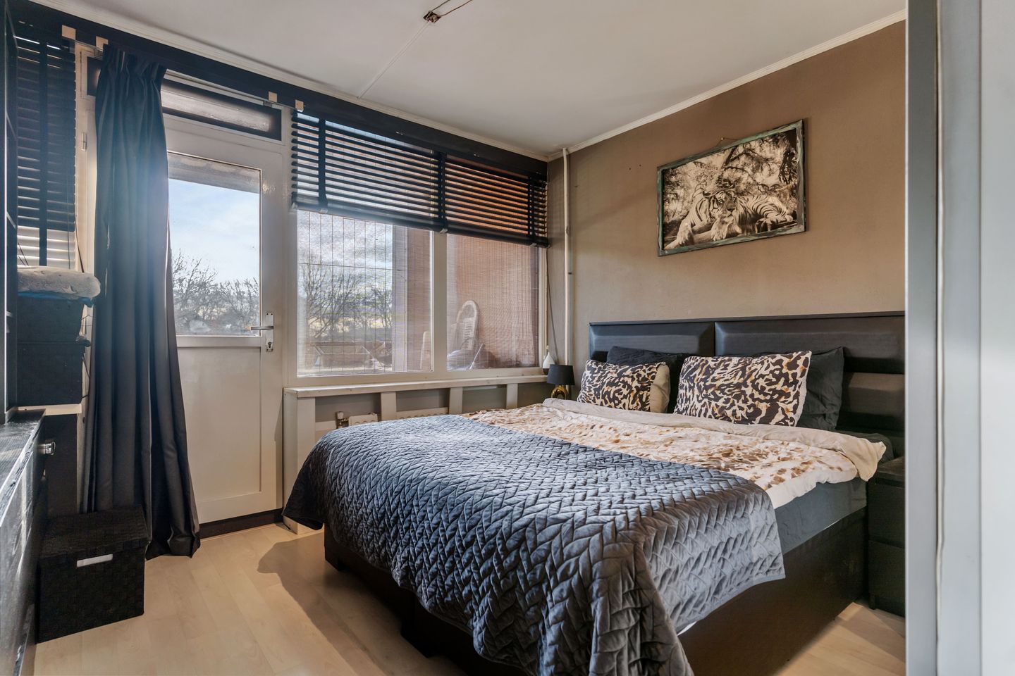 Foto 19 van Coornhertstraat 49