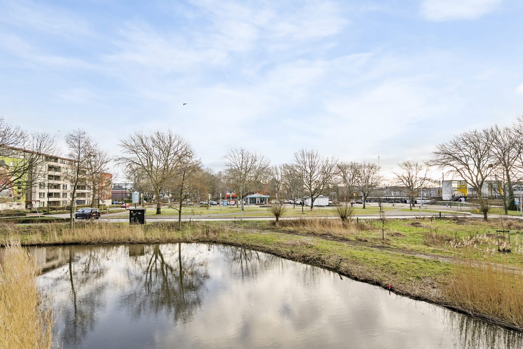 Foto 23 van Coornhertstraat 49