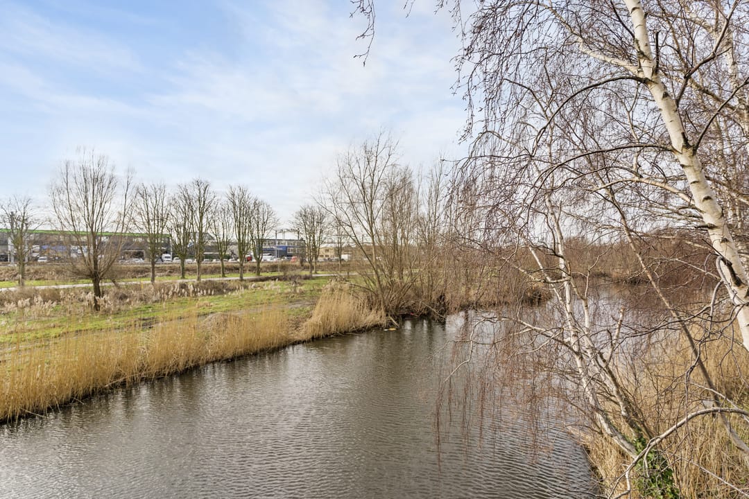 Foto 31 van Coornhertstraat 49