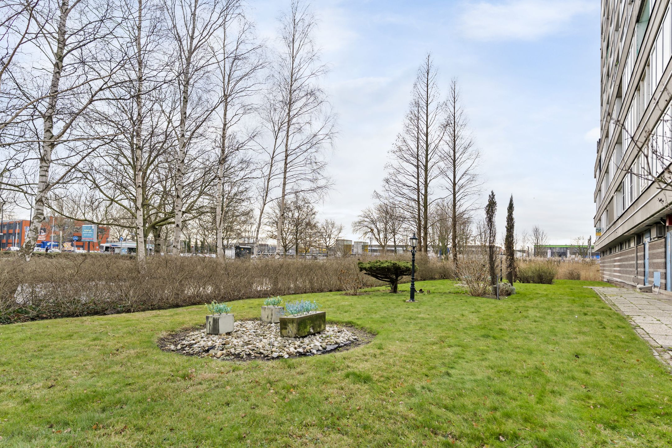 Foto 36 van Coornhertstraat 49