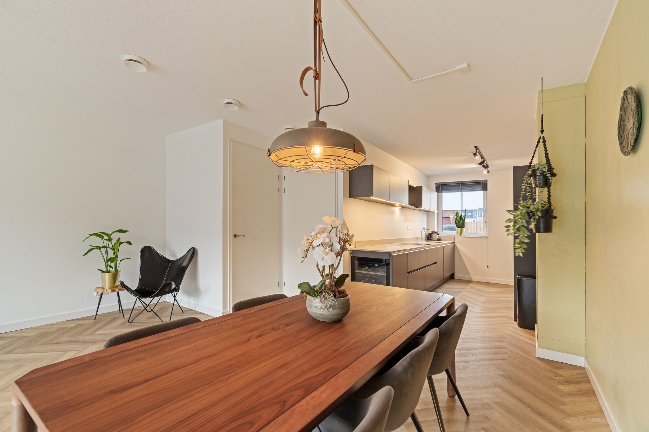 Foto 3 van Buckingham 27