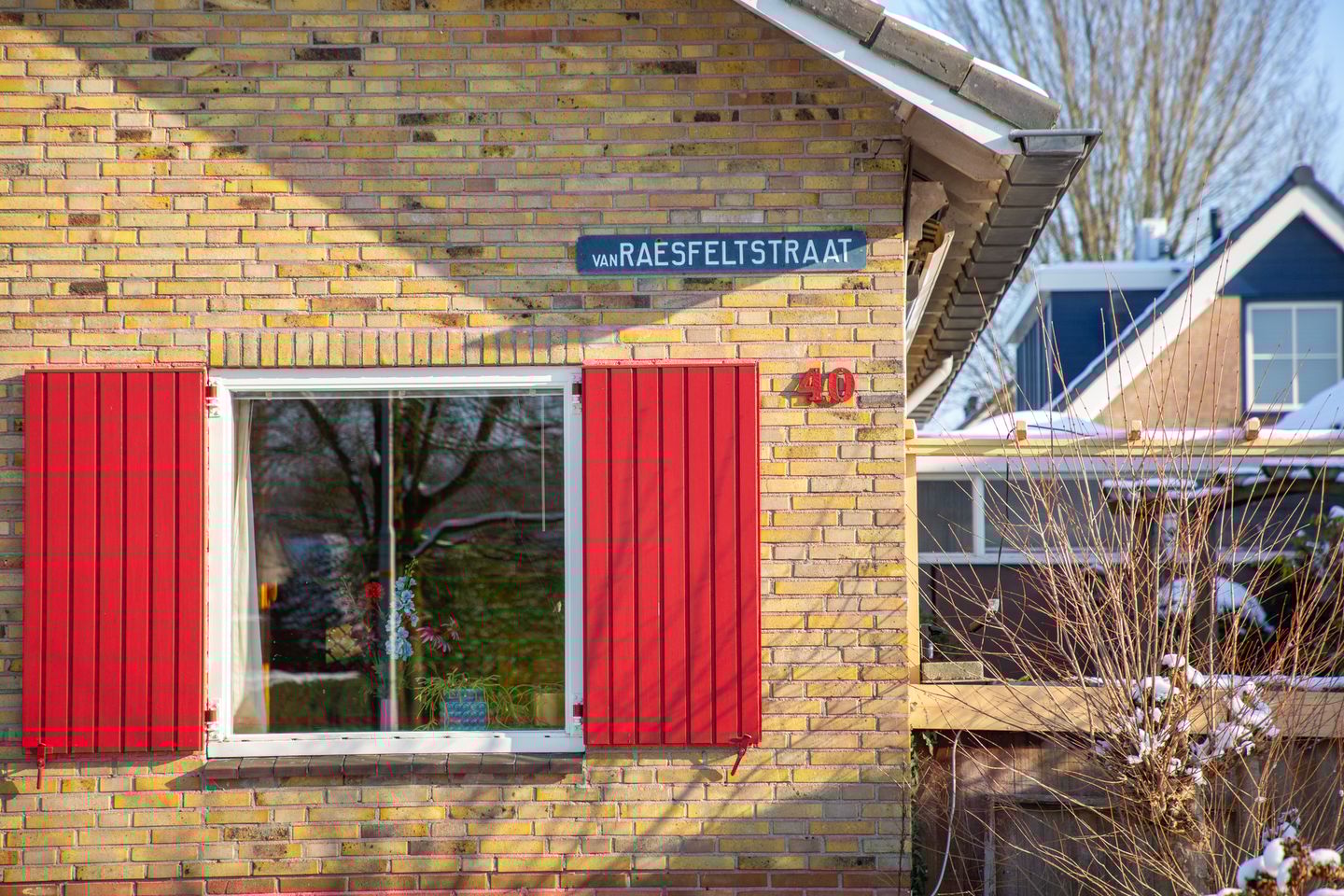 Foto 4 van van Raesfeltstraat 40