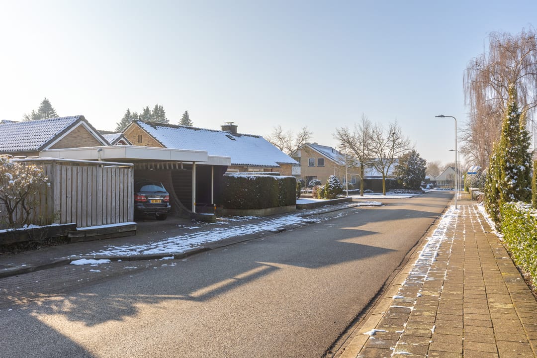 Foto 46 van van Raesfeltstraat 40