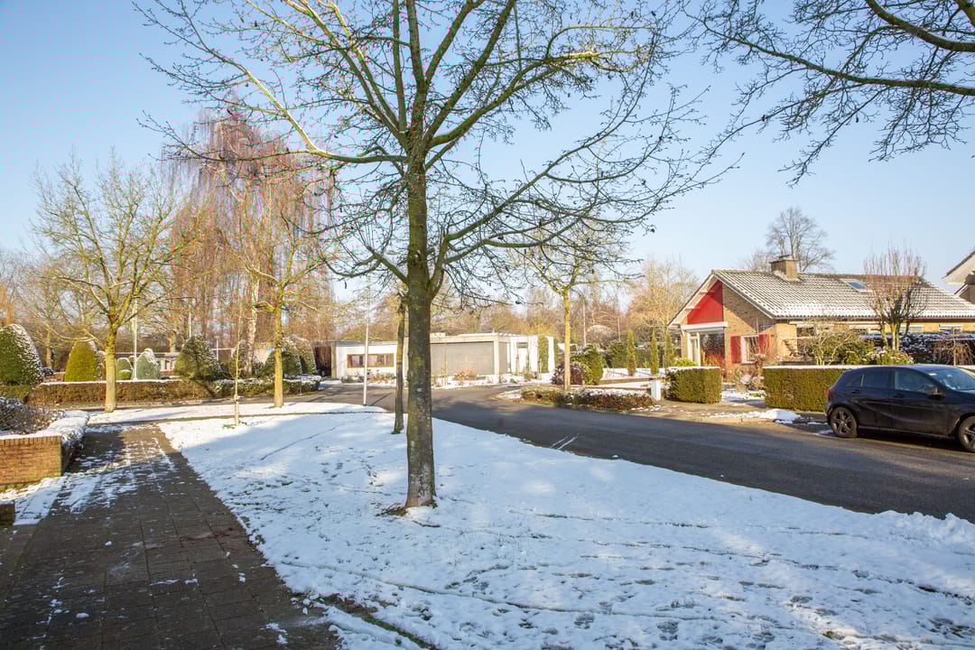 Foto 47 van van Raesfeltstraat 40