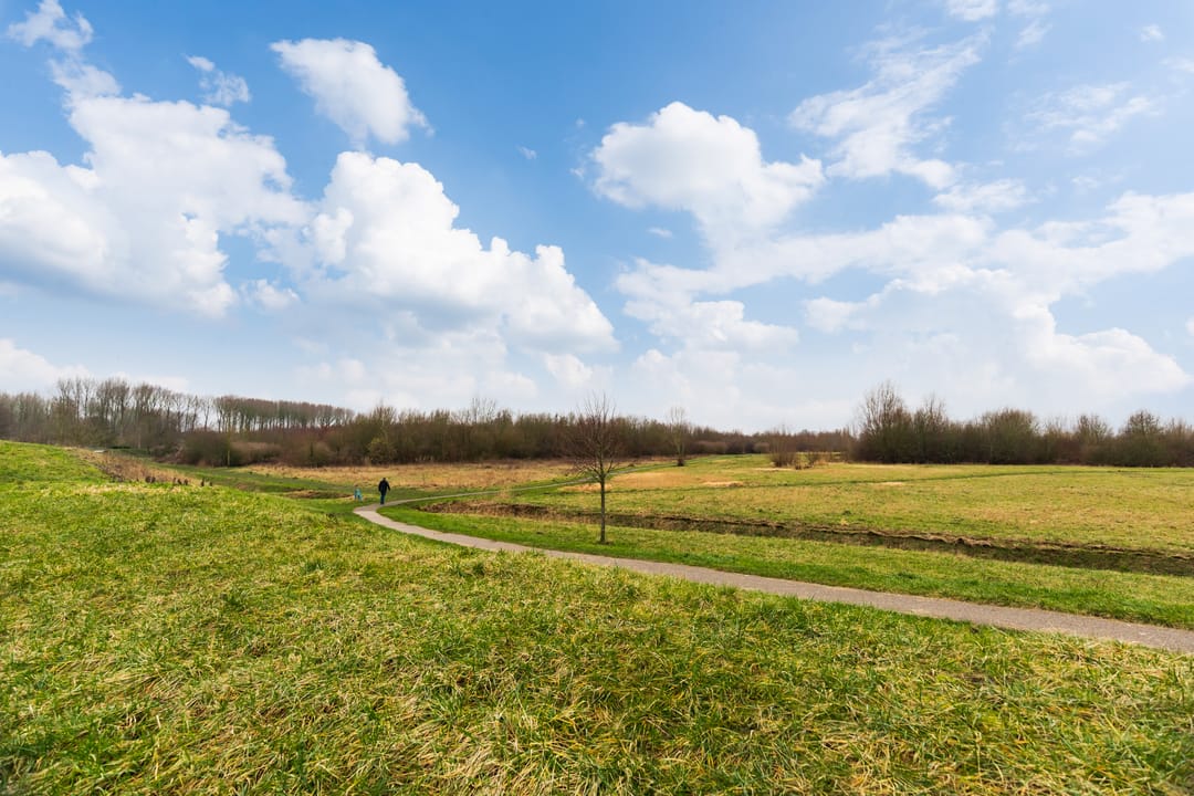 Foto 41 van Pijnenburg 13