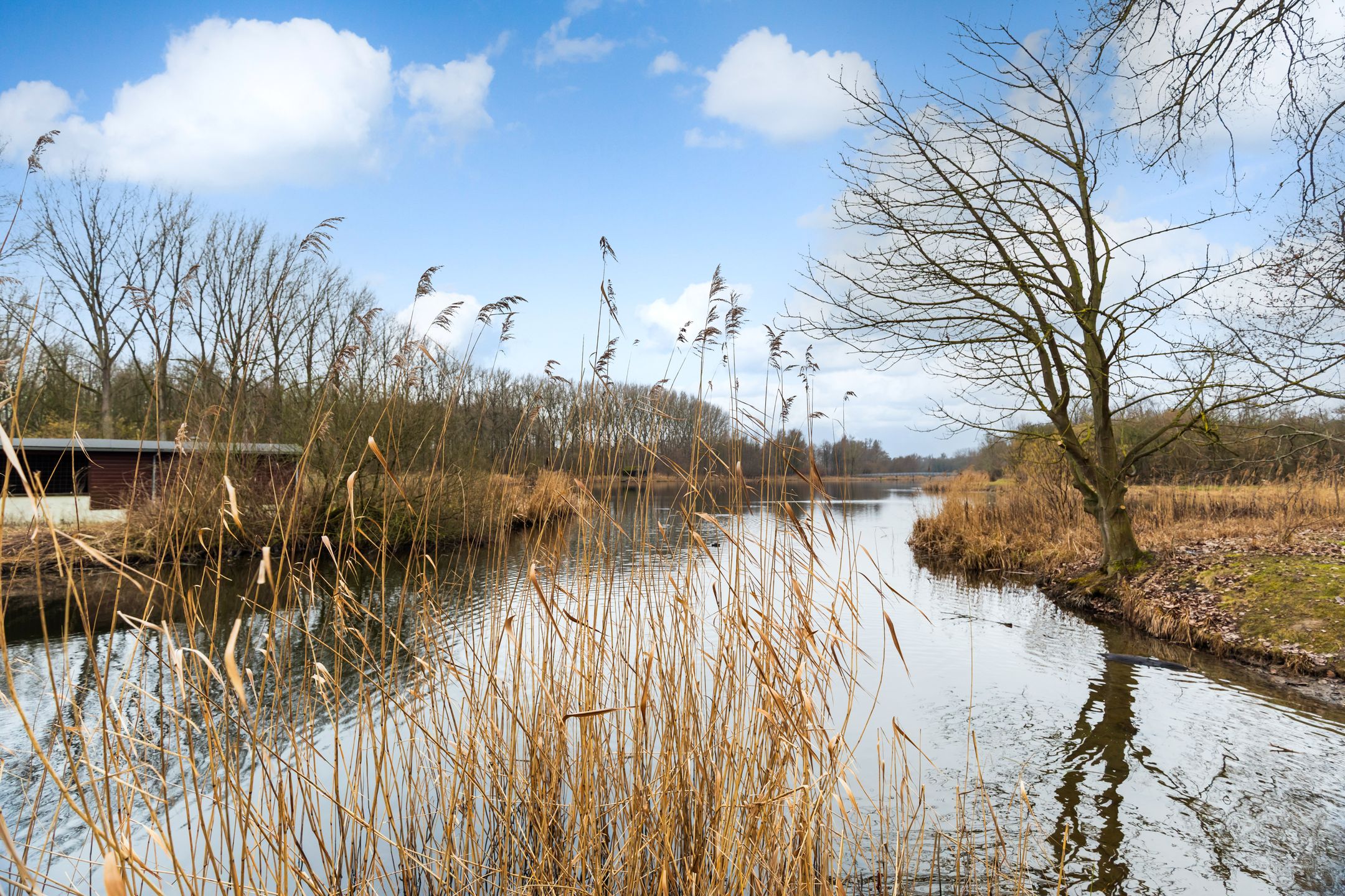 Foto 45 van Pijnenburg 13