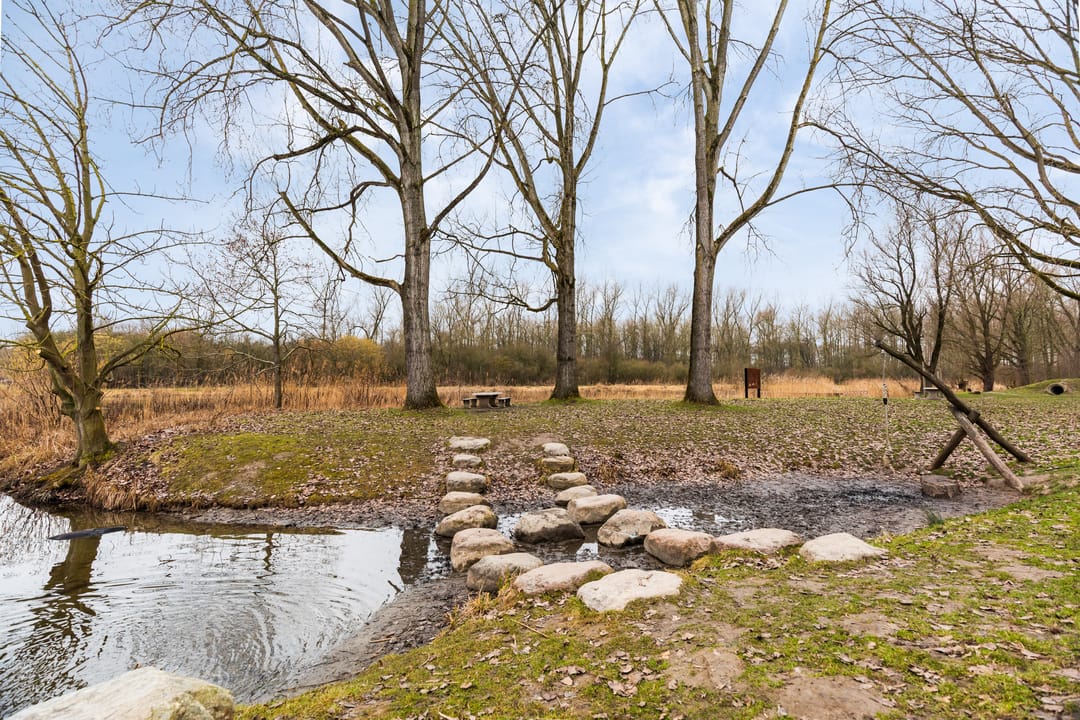 Foto 46 van Pijnenburg 13