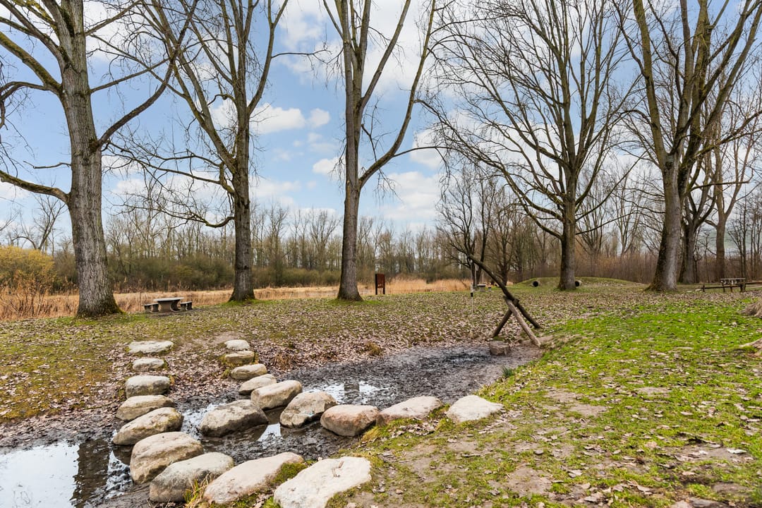 Foto 47 van Pijnenburg 13