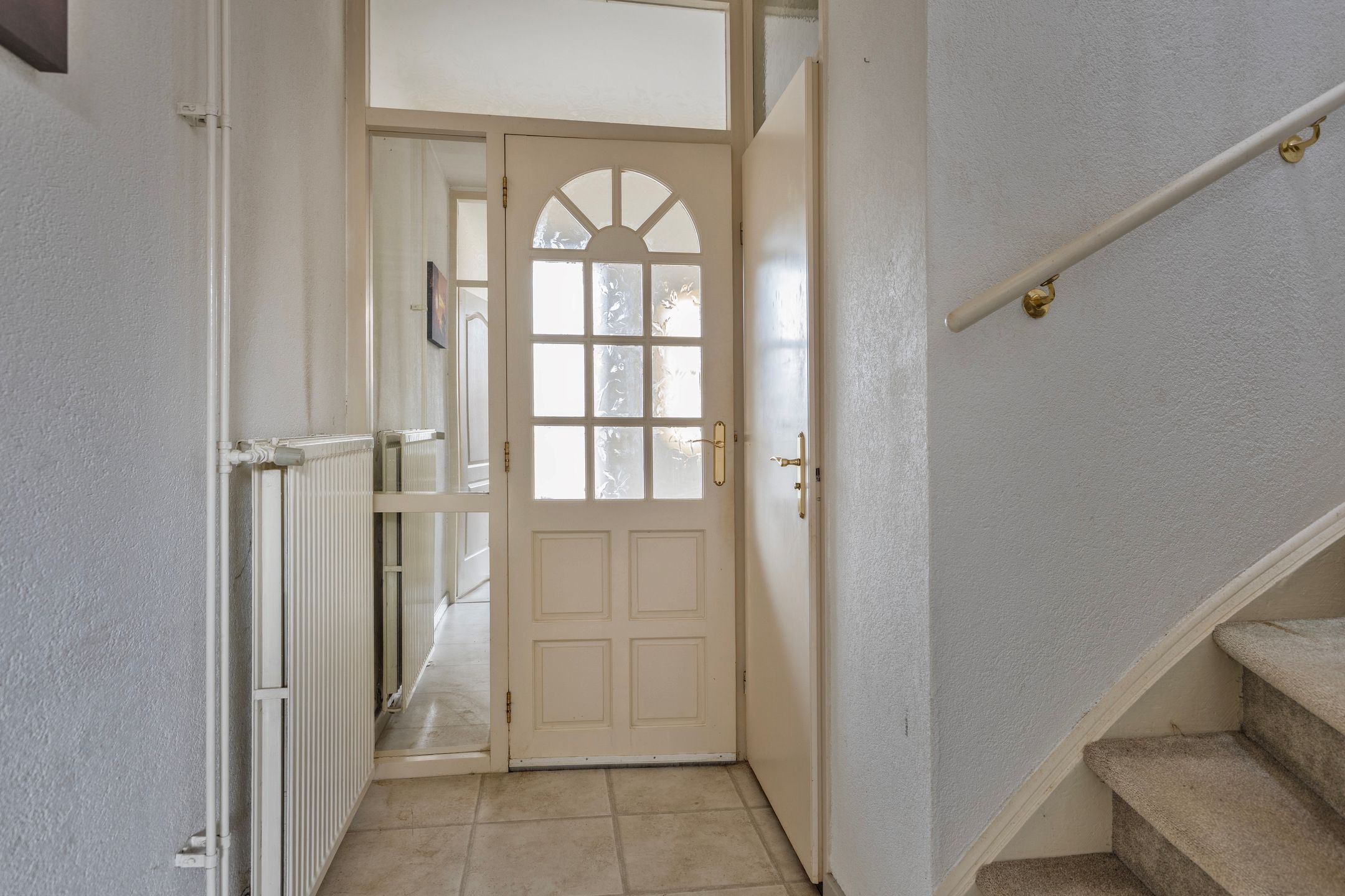 Foto 3 van de Snoekbaars 29