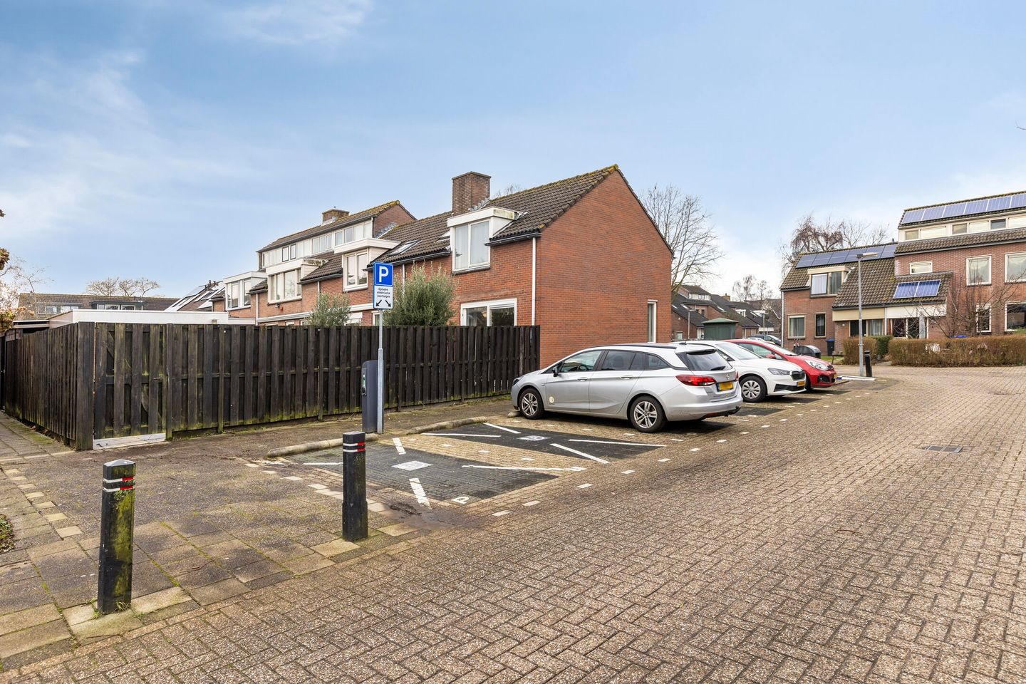 Foto 29 van de Snoekbaars 29