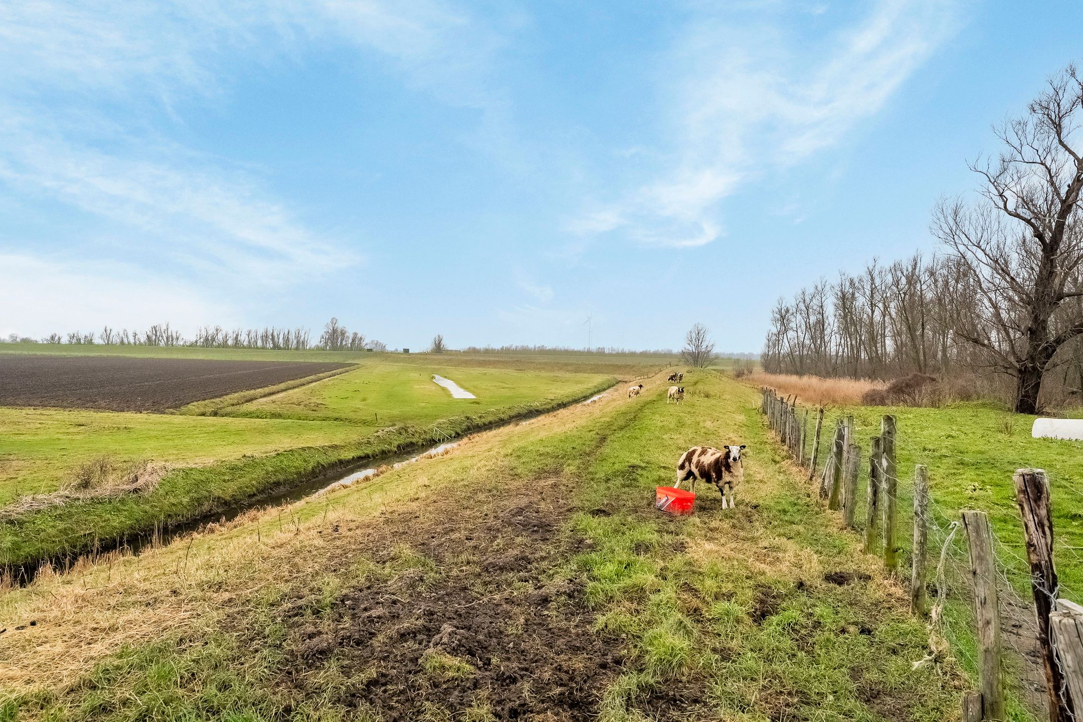 Photo 27 of Lindtsedijk 23