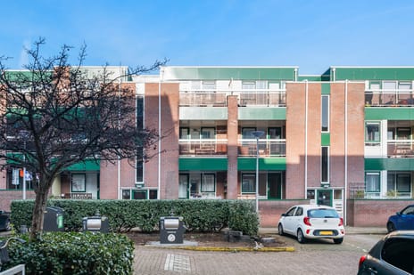 undefined main image