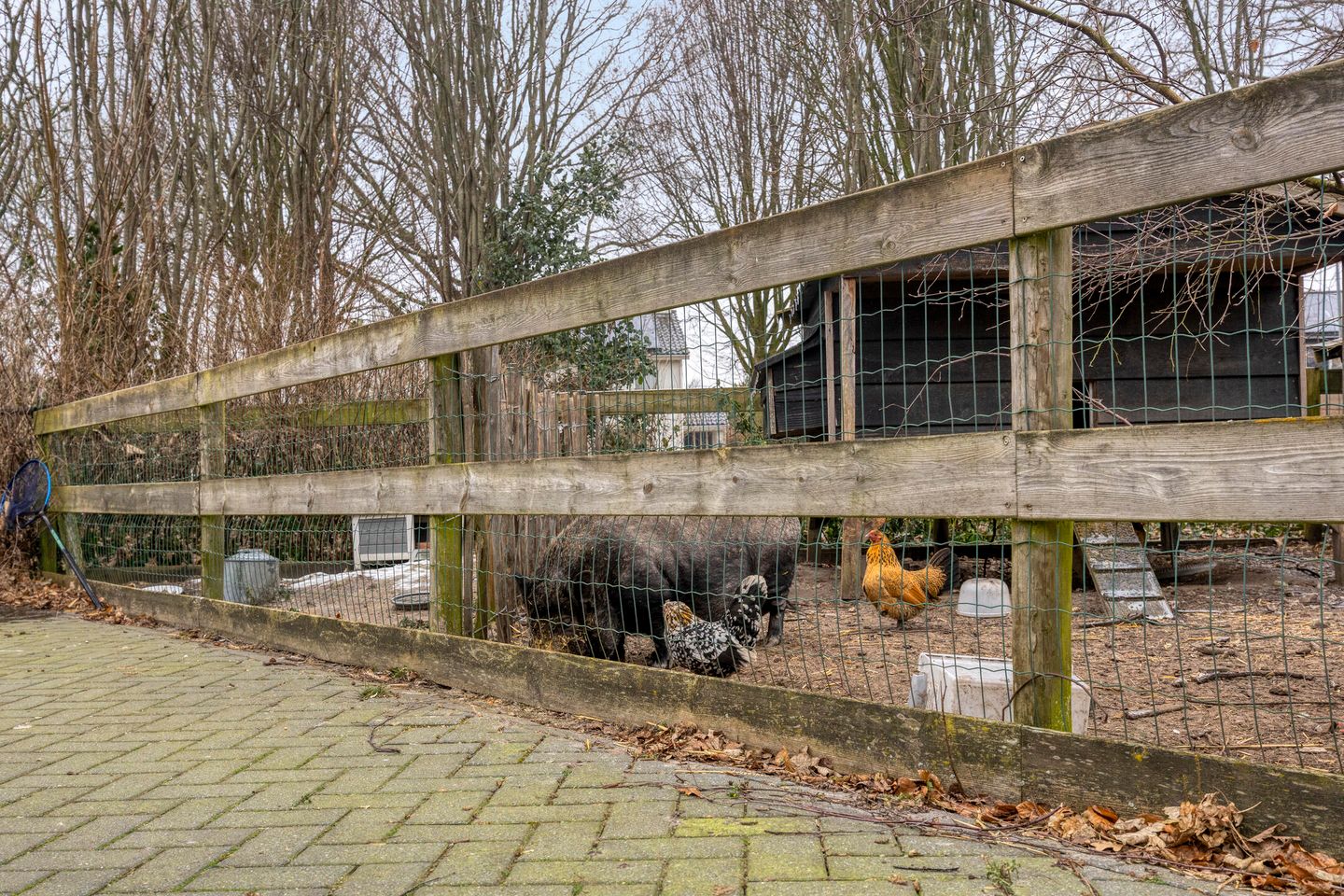 Photo 59 of Euroweg 143