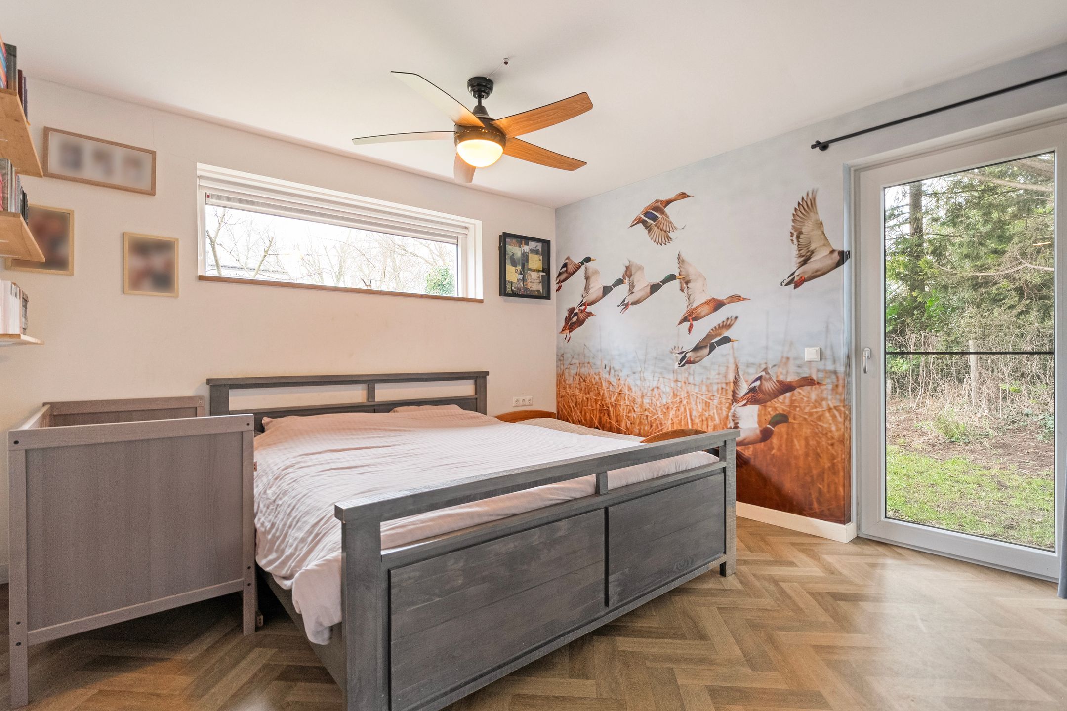 Foto 30 van de Hare 55