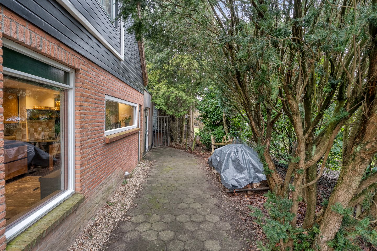 Foto 55 van de Hare 55