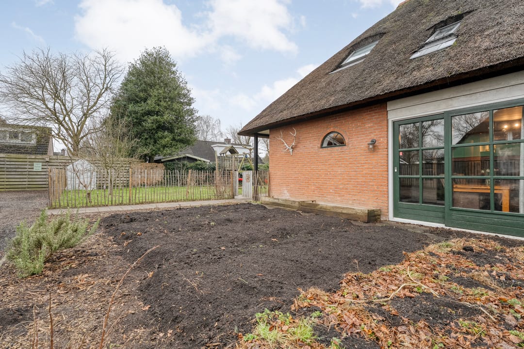 Foto 56 van de Hare 55