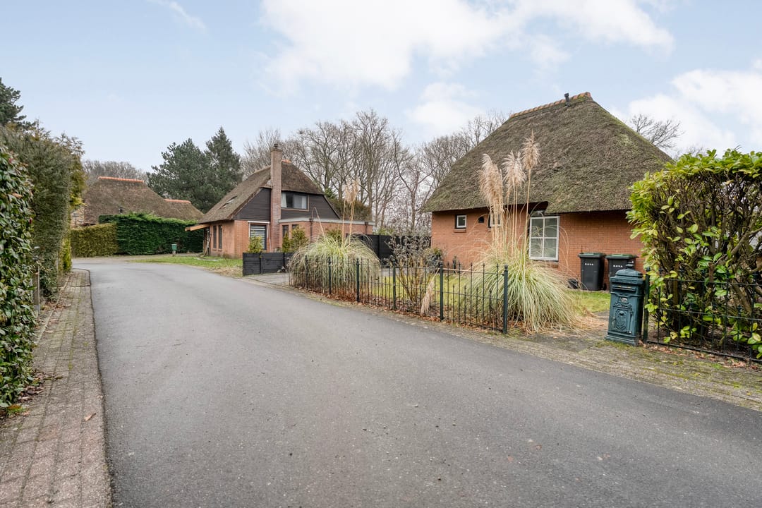 Foto 62 van de Hare 55