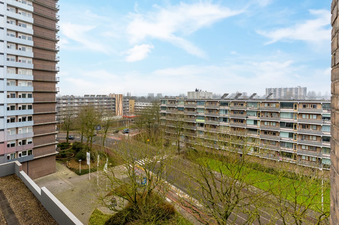 Photo 13 of Groenhof 56