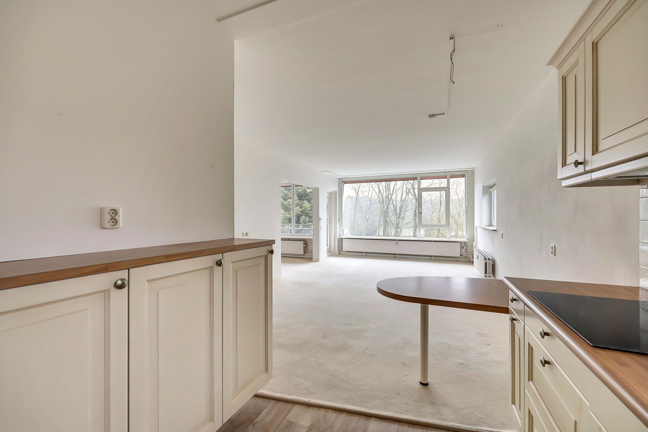 Foto 15 van Koningin Emmalaan 29-55