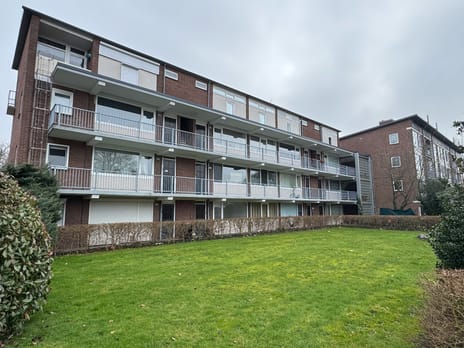 Europalaan thumbnail