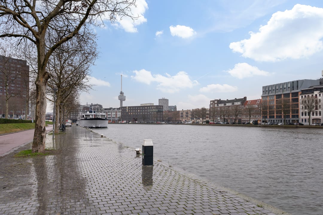 Foto 47 van Rochussenstraat 347-C