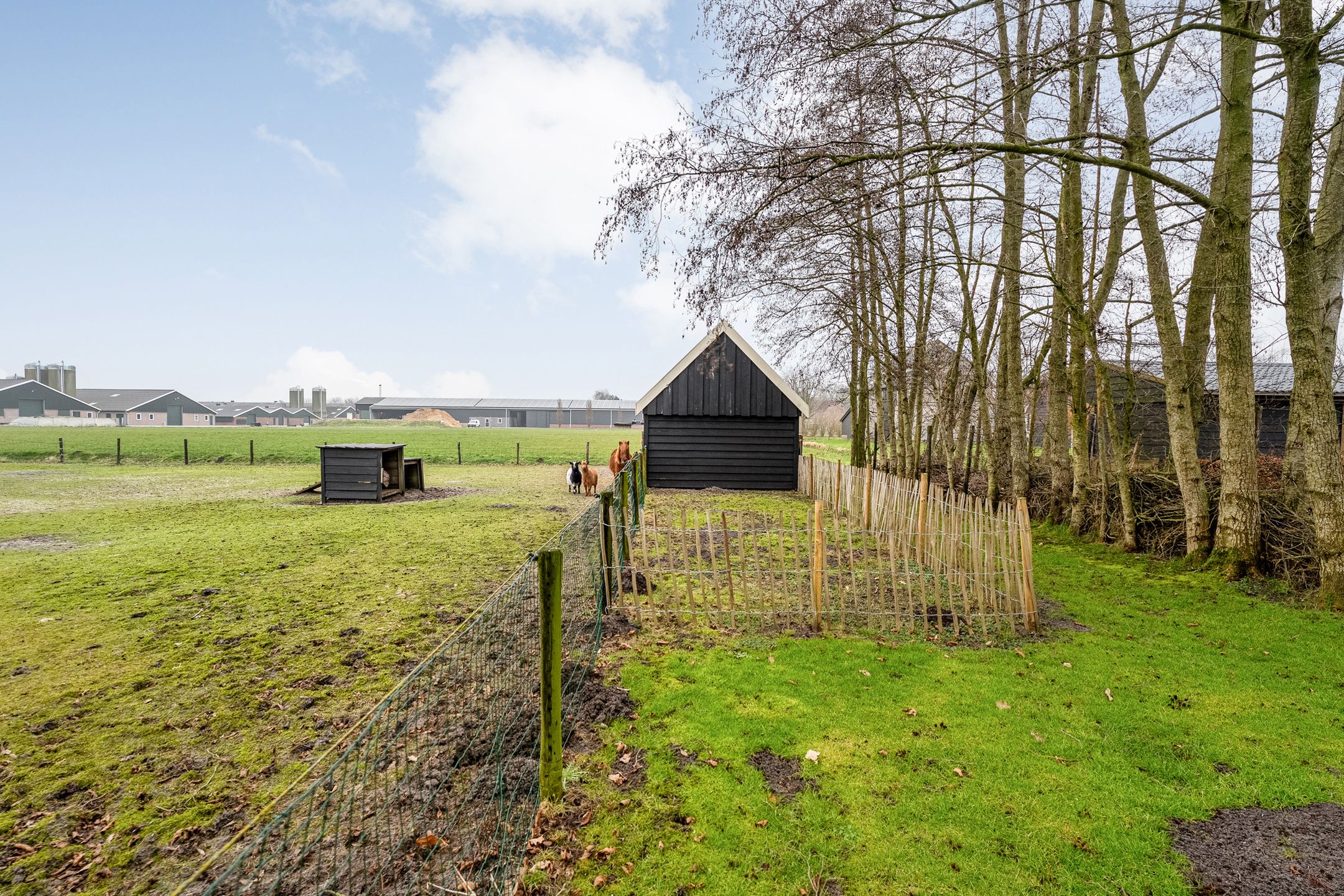 Foto 63 van Sponturfwijk 28