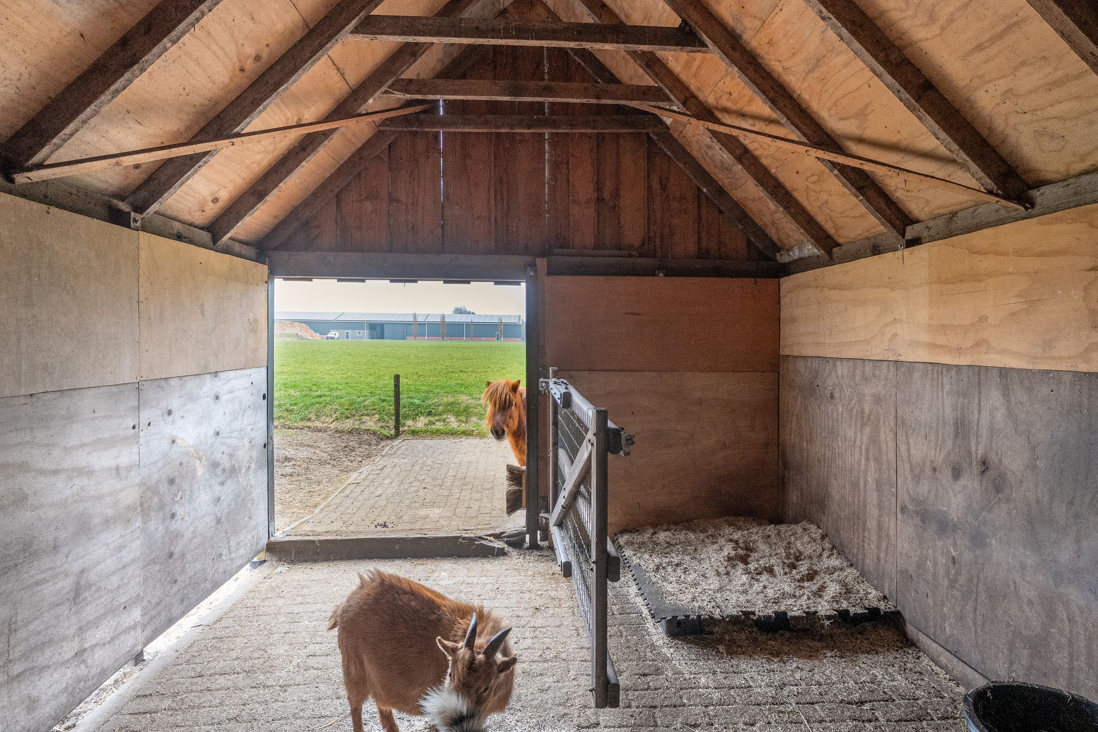 Foto 66 van Sponturfwijk 28