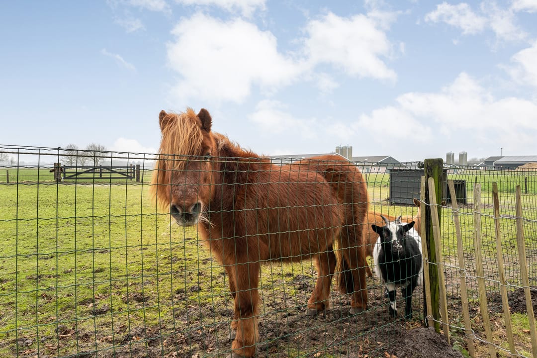 Foto 67 van Sponturfwijk 28