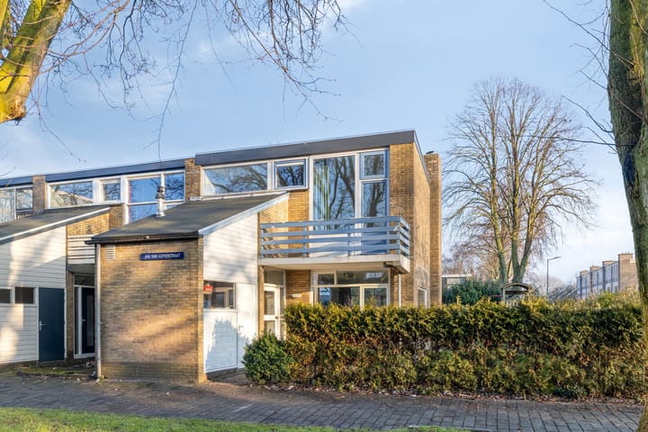 Jan van Goyenstraat 119