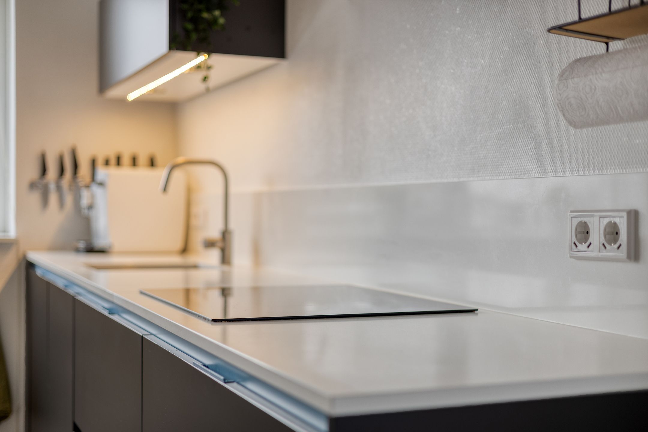 Foto 6 van Oesterzwam 33