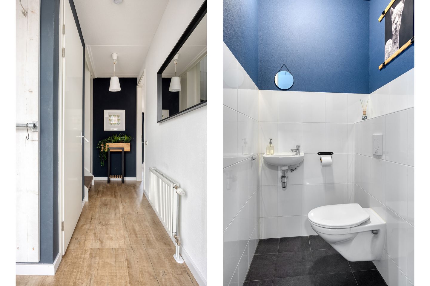 Foto 10 van Oesterzwam 33