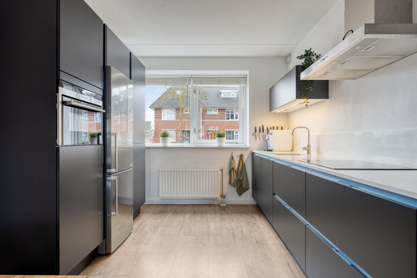 Foto 5 van Oesterzwam 33