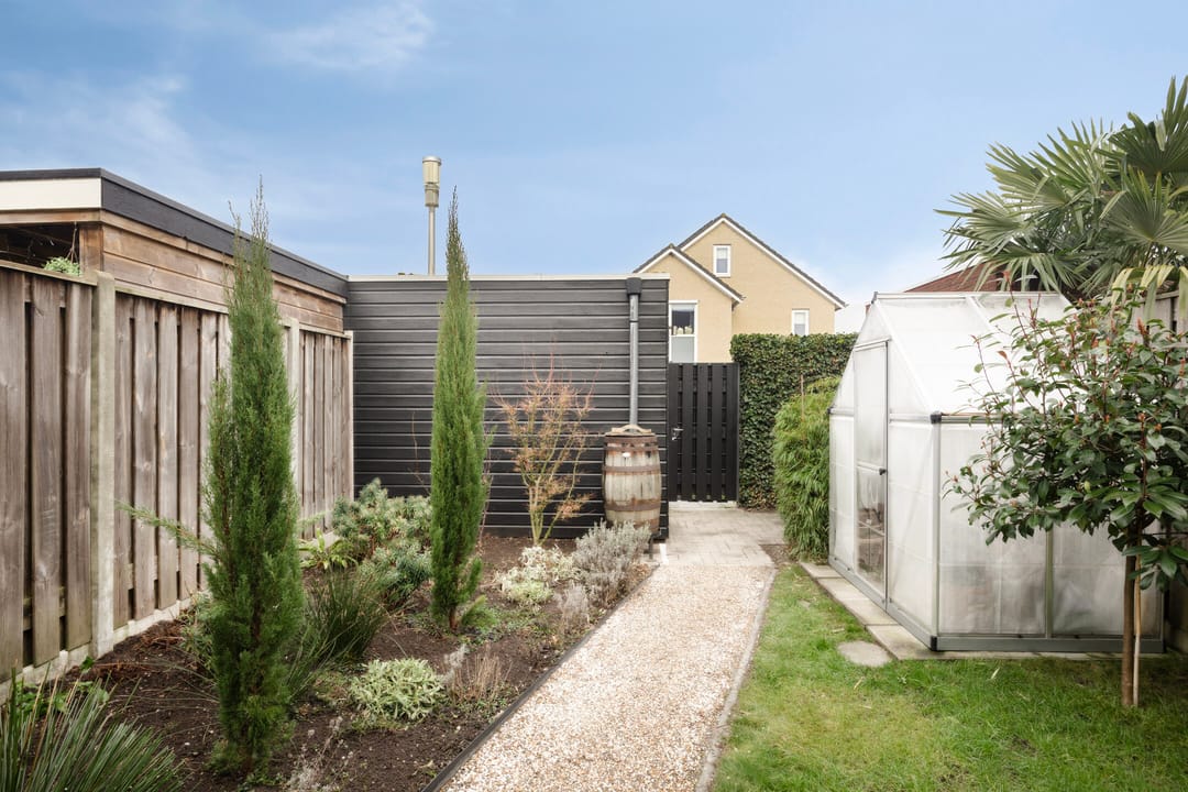 Foto 22 van Oesterzwam 33