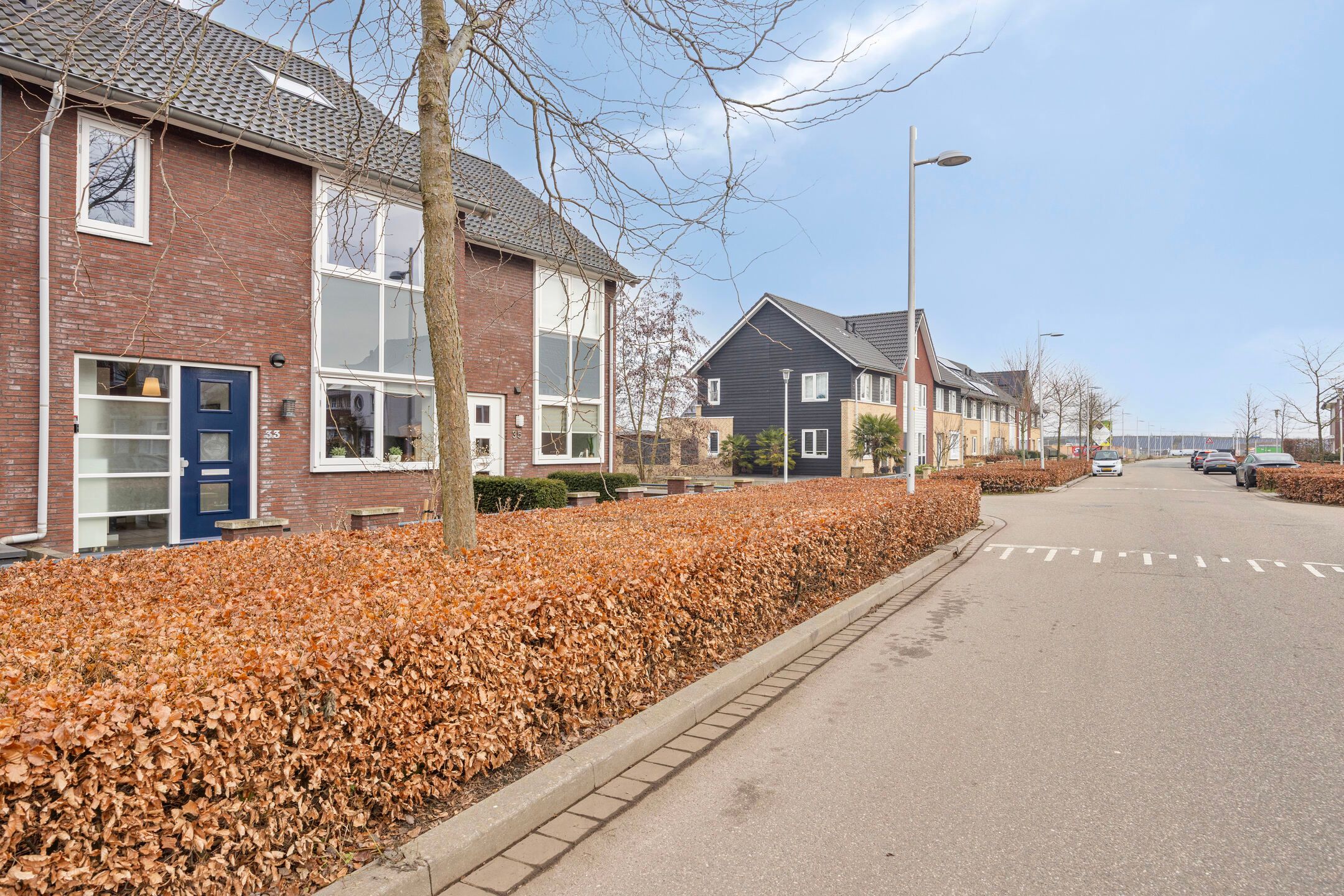 Foto 27 van Oesterzwam 33