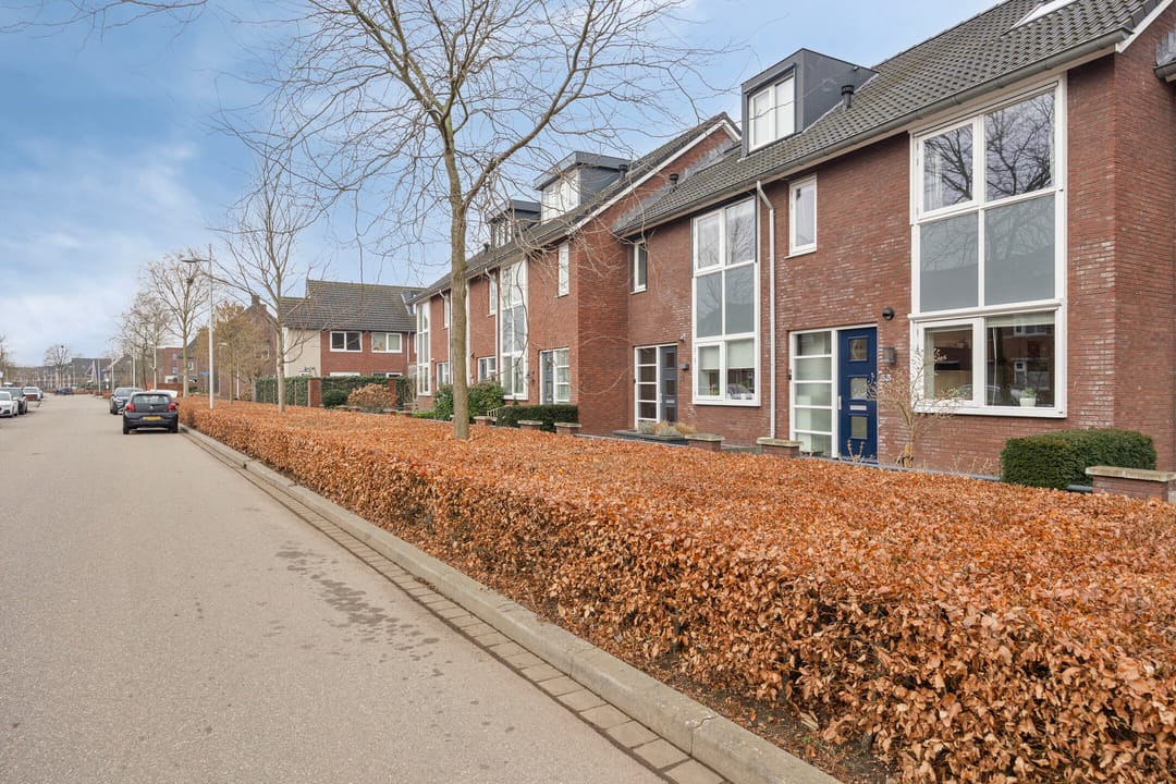 Foto 28 van Oesterzwam 33