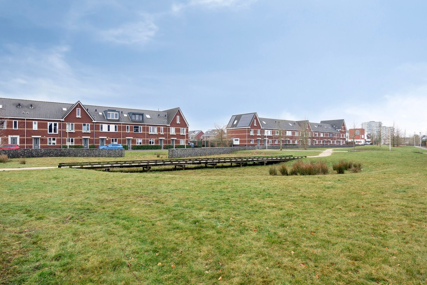 Foto 29 van Oesterzwam 33