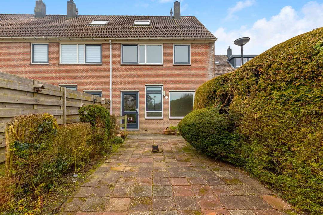 Photo 8 of Dinkel 13