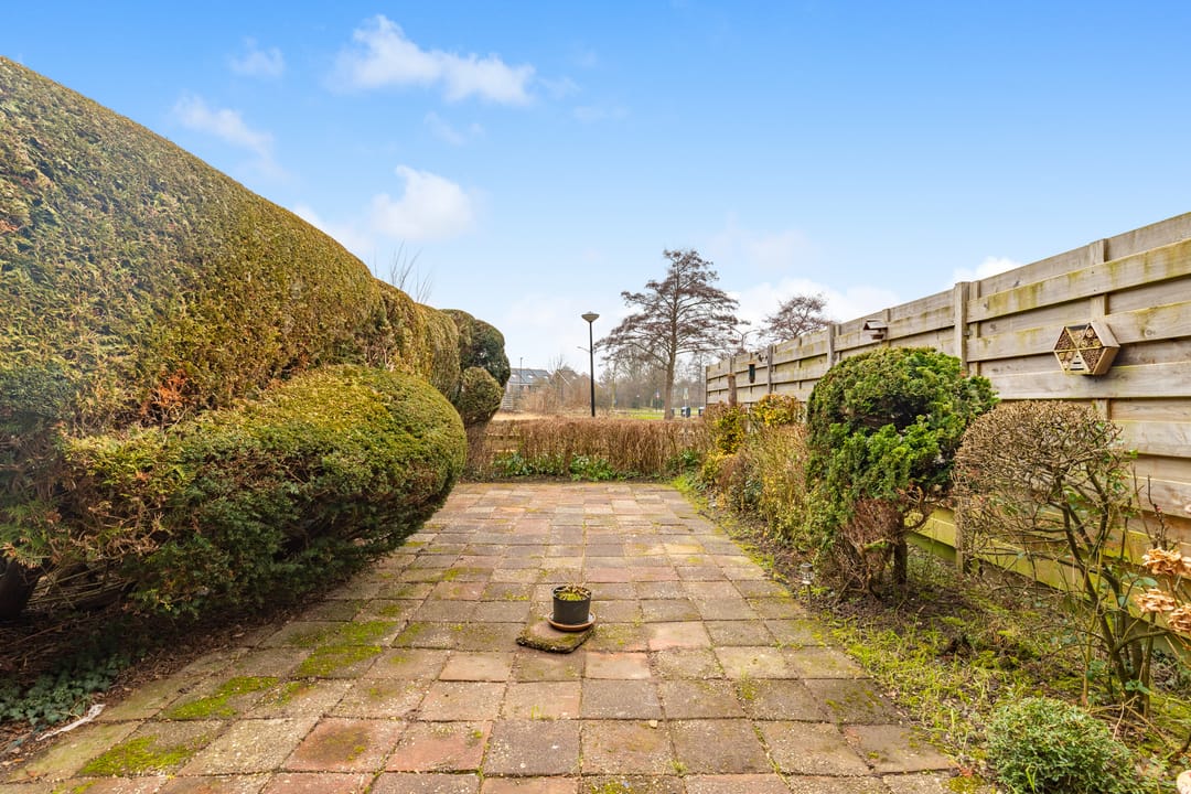 Photo 7 of Dinkel 13